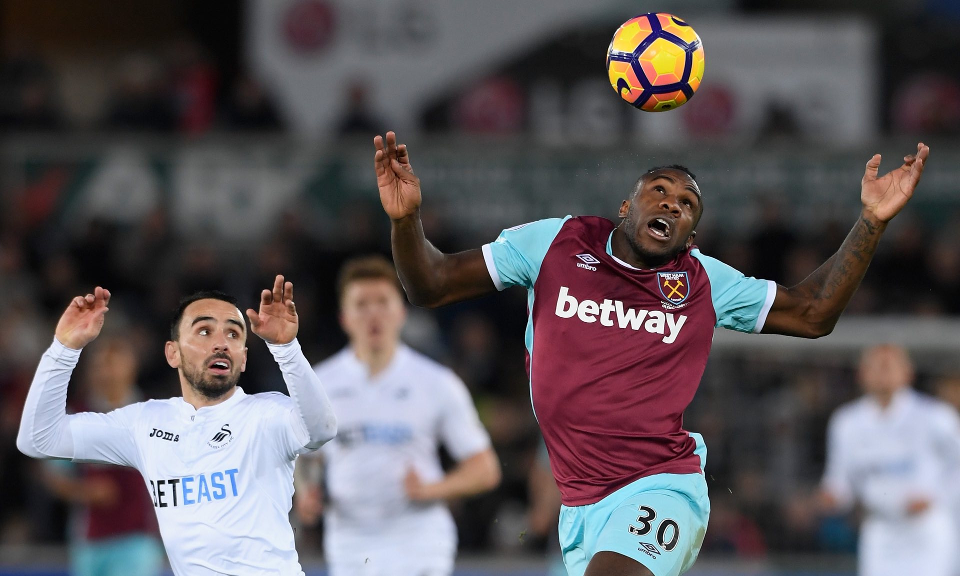 团队在分析 团队在分析