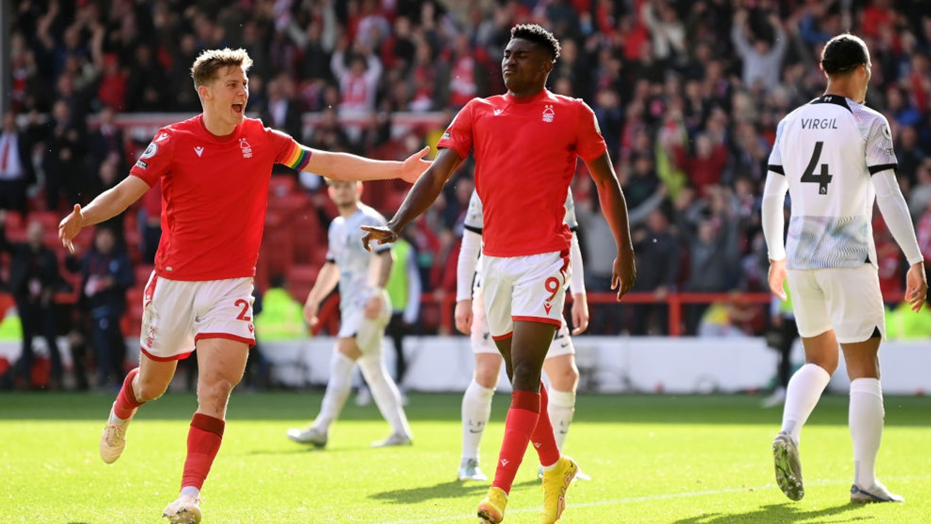 大球迷和专 大球迷和专